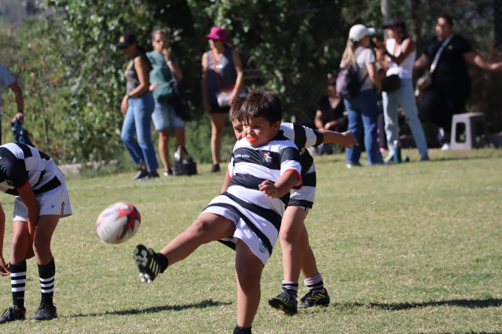 WhatsApp Image 2026-03-30 at