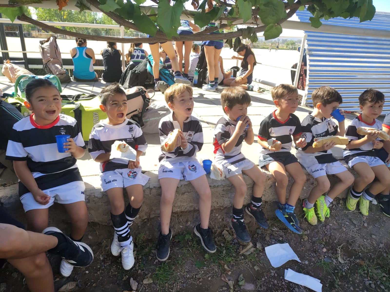 WhatsApp Image 2026-03-30 at 11.36.01