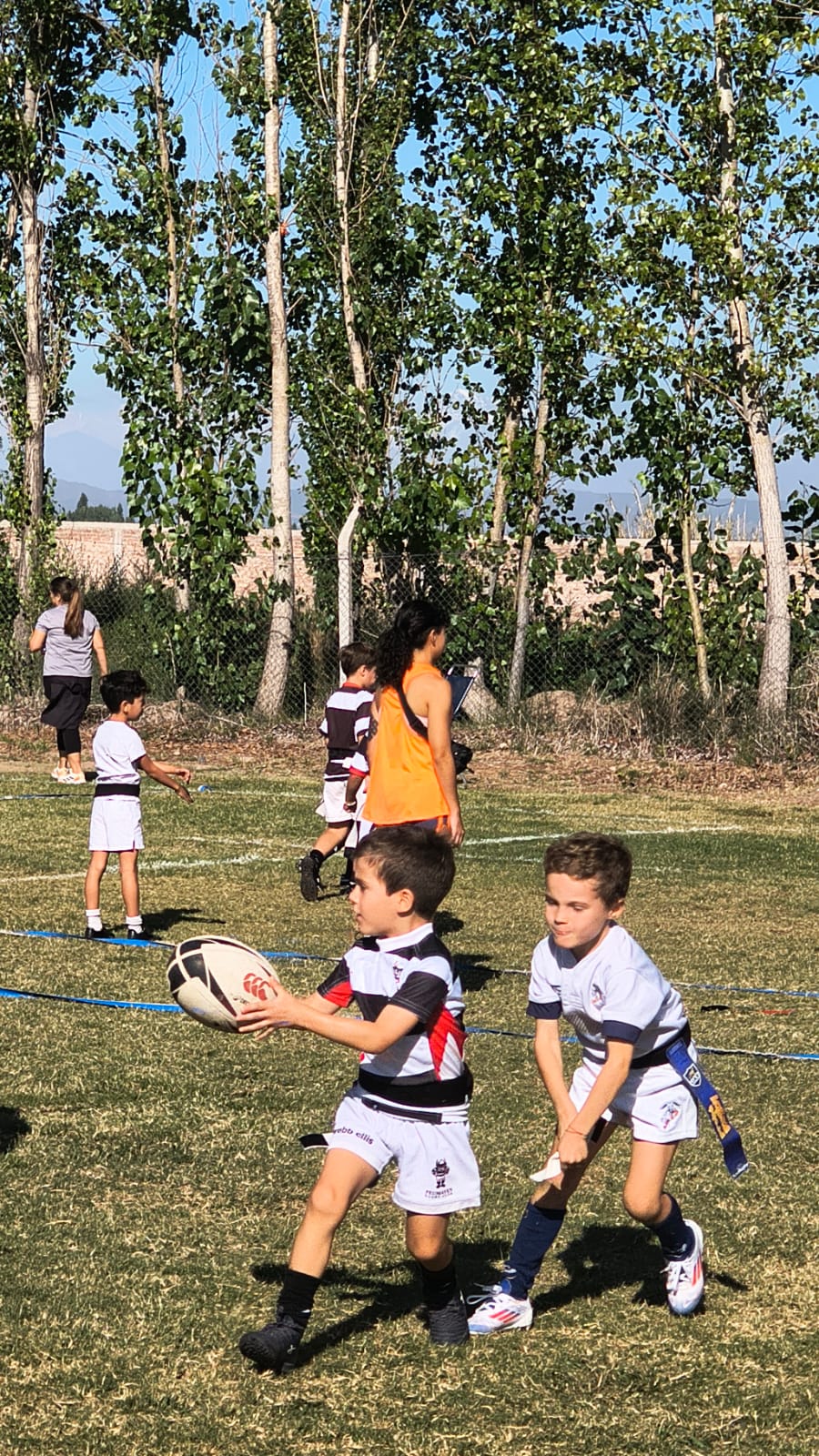 WhatsApp Image 2026-03-30 at 11.36.20