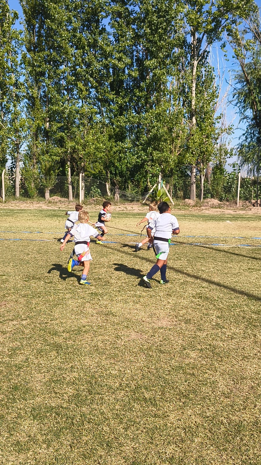 WhatsApp Image 2026-03-30 at 11.36.21 (1)