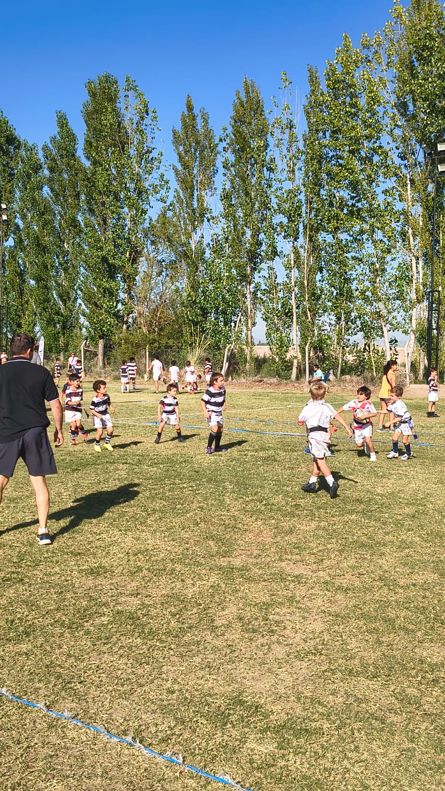 WhatsApp Image 2026-03-30 at 11.36.21 (2)