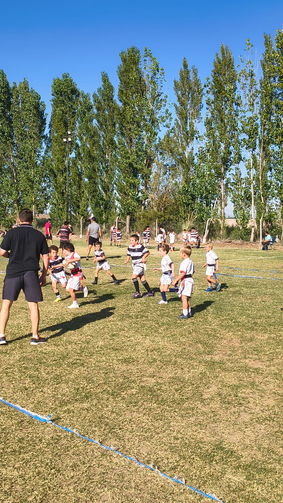 WhatsApp Image 2026-03-30 at 11.36.21