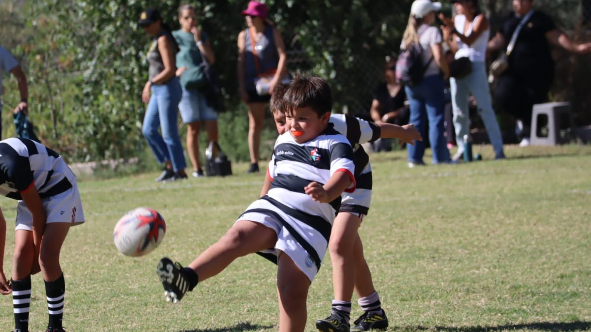 WhatsApp Image 2026-03-30 at